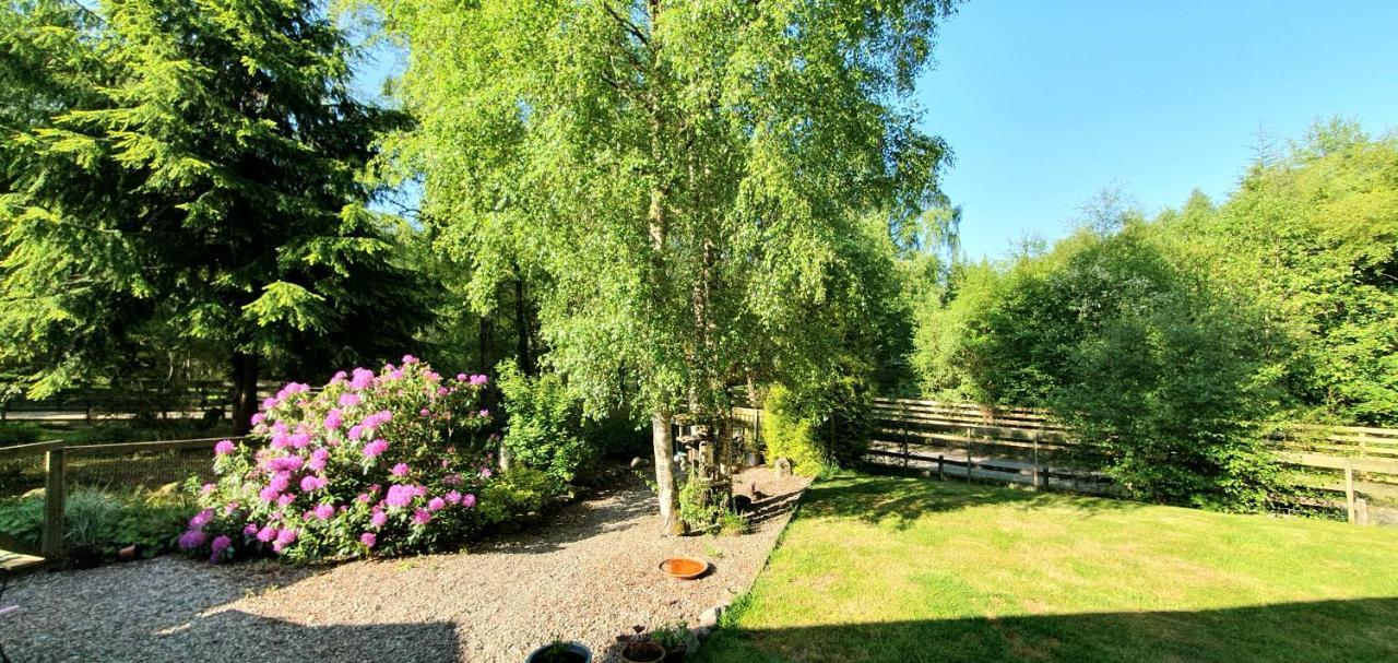Torcroft Lodges 드럼나드로킷 외부 사진