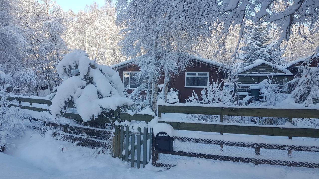 Torcroft Lodges 드럼나드로킷 외부 사진