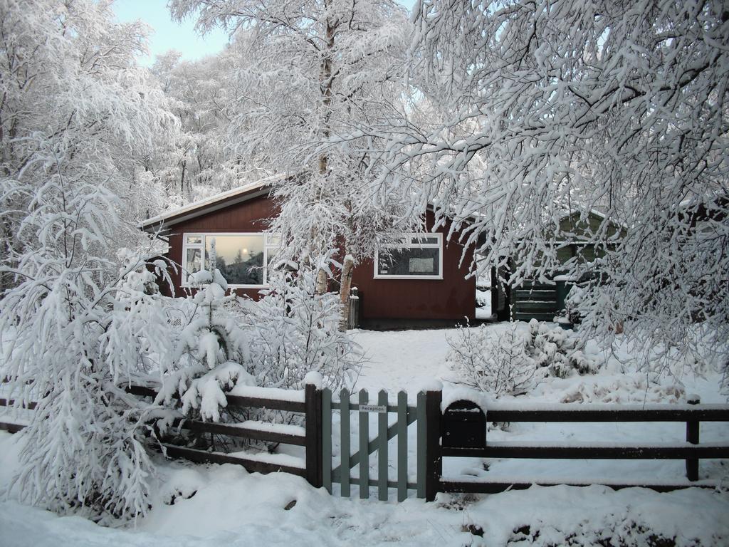 Torcroft Lodges 드럼나드로킷 객실 사진